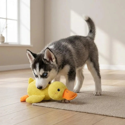 Calming Duck Dog Toy – Squeaky Interactive Dog Toy for Teeth Cleaning, Durable & Chewers, Bite Resistant (Small, Medium, Large)