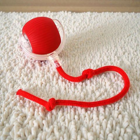 Interactive Cat Ball Toy – Smart Electric Rolling Pet Toy with Tail, Automatic Mouse for Indoor Cats, Rechargeable Puppy Gift